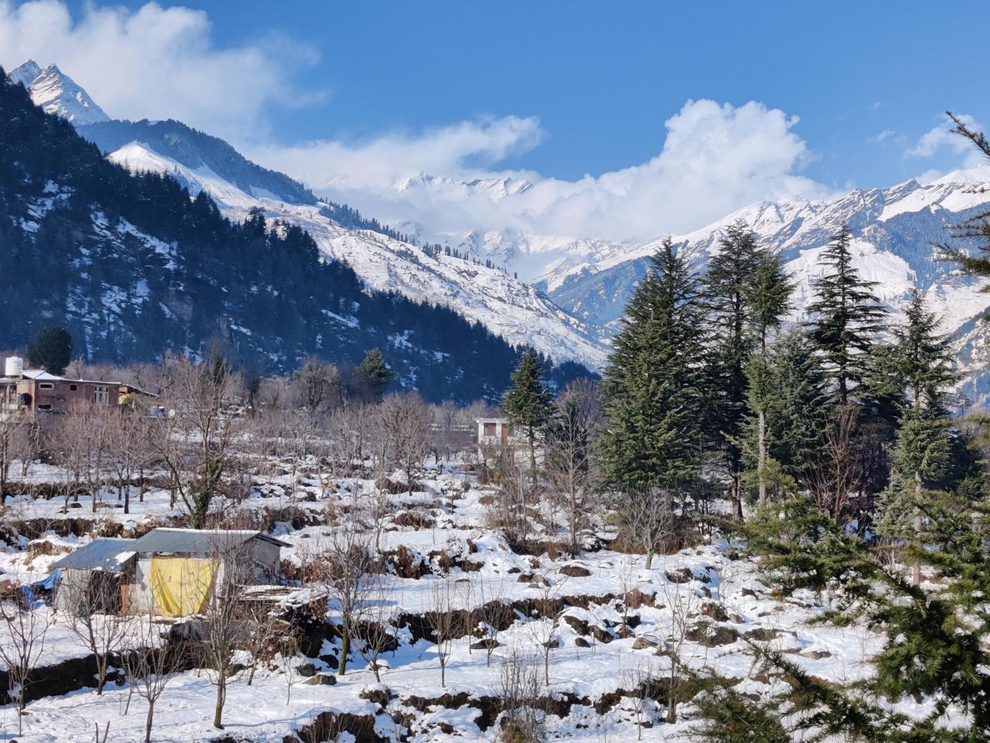 Safar Hostel Manali - Manali (Himachal Pradesh) — Photos 1